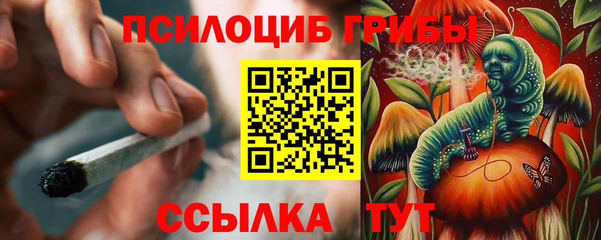 Галлюциногенные грибы Psilocybine cubensis Красногорск