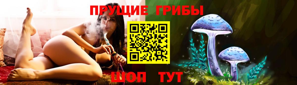 где купить наркотик  Вход с VPN  Красногорск  Галлюциногенные грибы прущие грибы  Галлюциногенные грибы GOLDEN TEACHER 